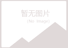 青岛黄岛白山广告业有限公司